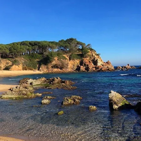 Lloguer30 Delfines, Swimming Pools , Near The And With Parking