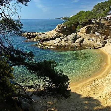 アパート Lloguer30 Delfines, Swimming Pools , Near The And With Parking プラヤ・デアロ