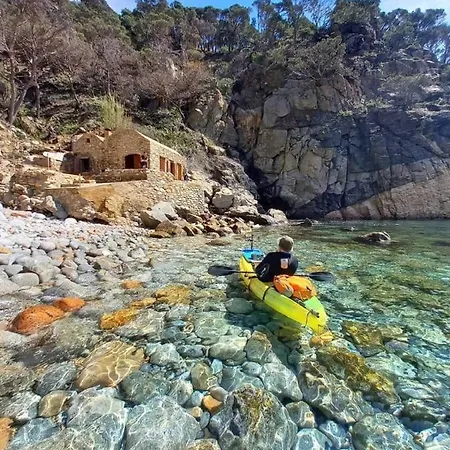 Daire Lloguer30 Delfines, Swimming Pools , Near The And With Parking *