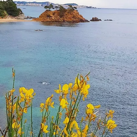 Lloguer30 Delfines, Swimming Pools , Near The And With Parking Apartament