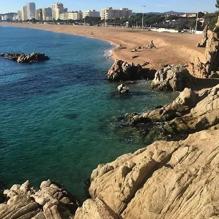 Lloguer30 Delfines, Swimming Pools , Near The And With Parking