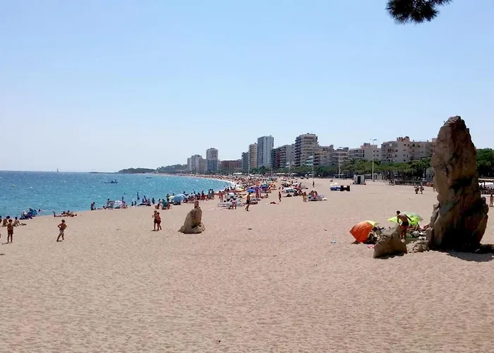 Apartamento Lloguer30 Delfines, Swimming Pools , Near The And With Parking