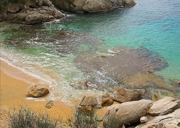 Lloguer30 Delfines, Swimming Pools , Near The And With Parking *