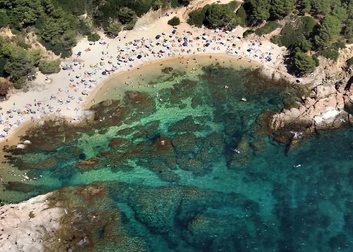 Lloguer30 Delfines, Swimming Pools , Near The And With Parking Daire Platja d'Aro