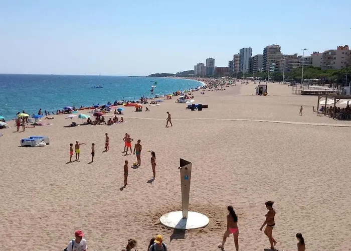 Lloguer30 Delfines, Swimming Pools , Near The And With Parking Apartamento *