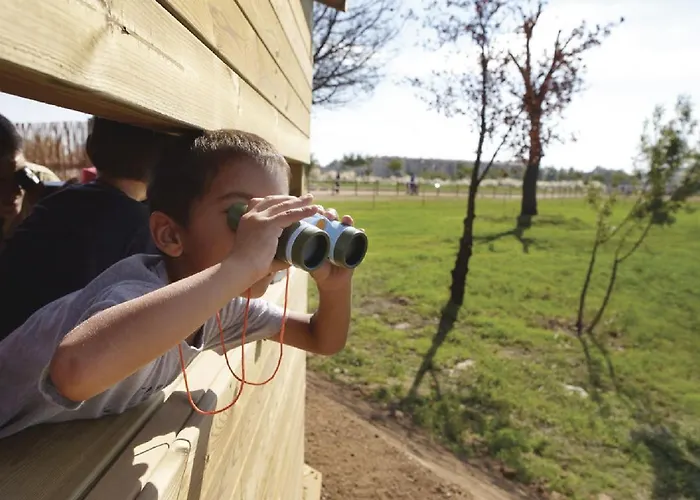 Daire Lloguer30 Delfines, Swimming Pools , Near The And With Parking Platja d'Aro