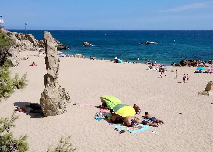 Apartamento Lloguer30 Delfines, Swimming Pools , Near The And With Parking