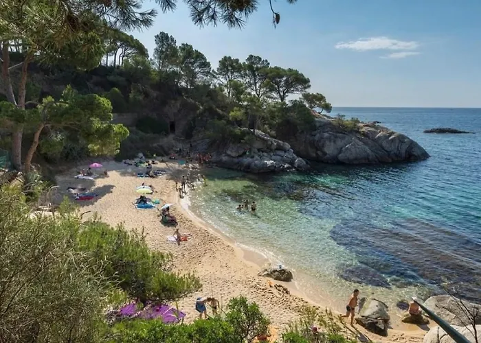 Lloguer30 Delfines, Swimming Pools , Near The And With Parking Apartamento